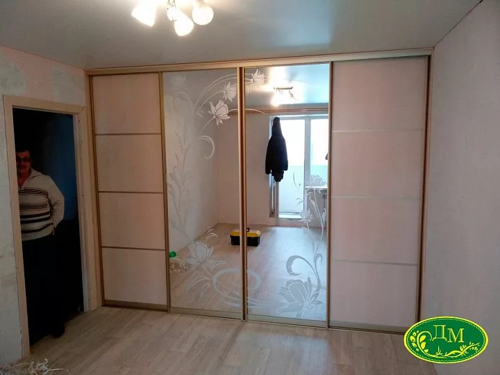 Двери купе 20